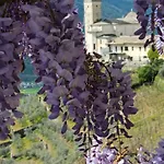 Casa Moreschi 펜션 Tresivio