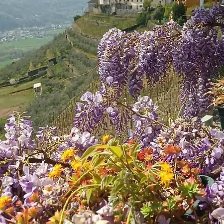 Casa Moreschi Semesterbostad *